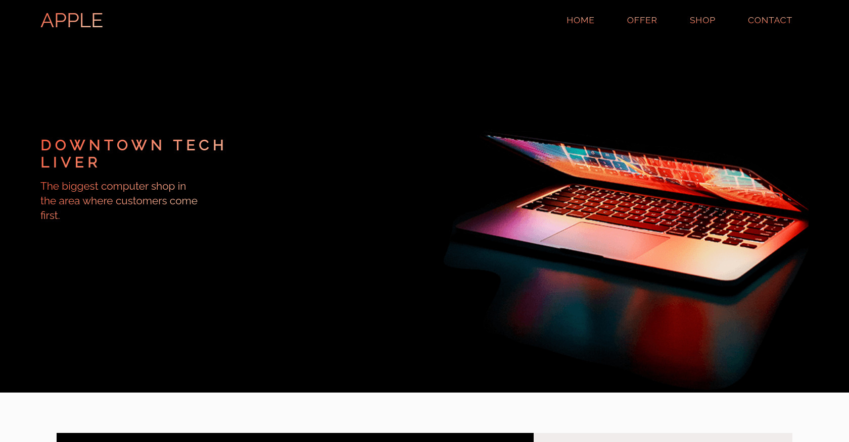 Computer store landing page