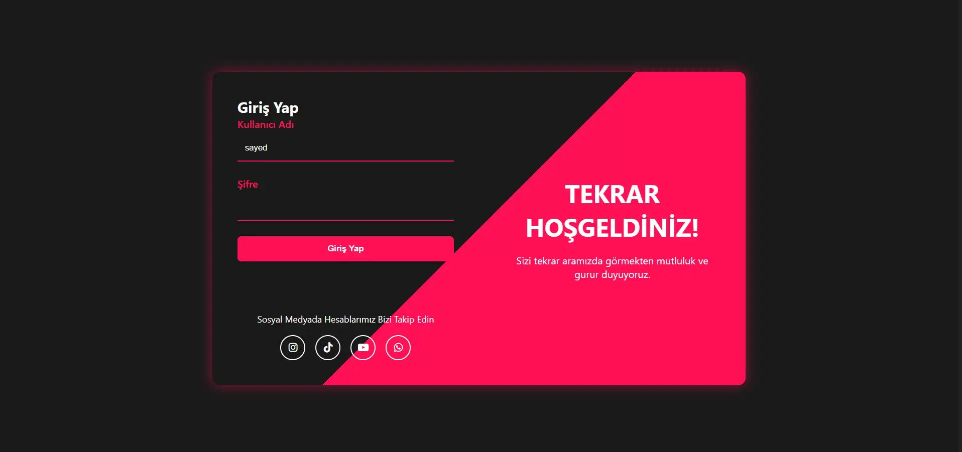 Moderm bir giriş sayfası 