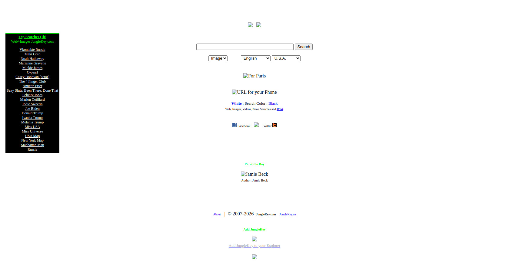 JungleKey Search Engine: Web, Image, Video, News