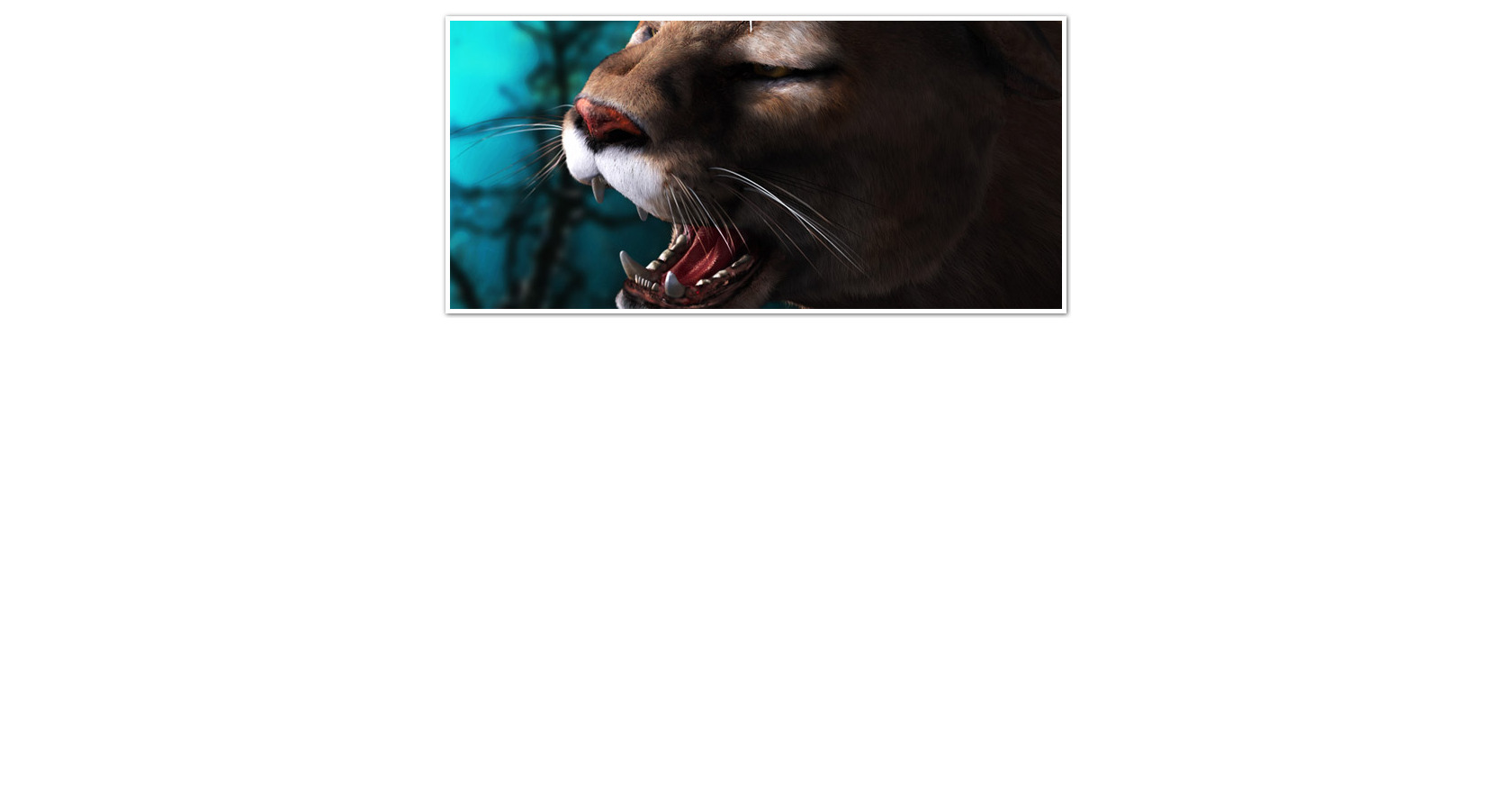 Image Slider for Blogspot CSS3