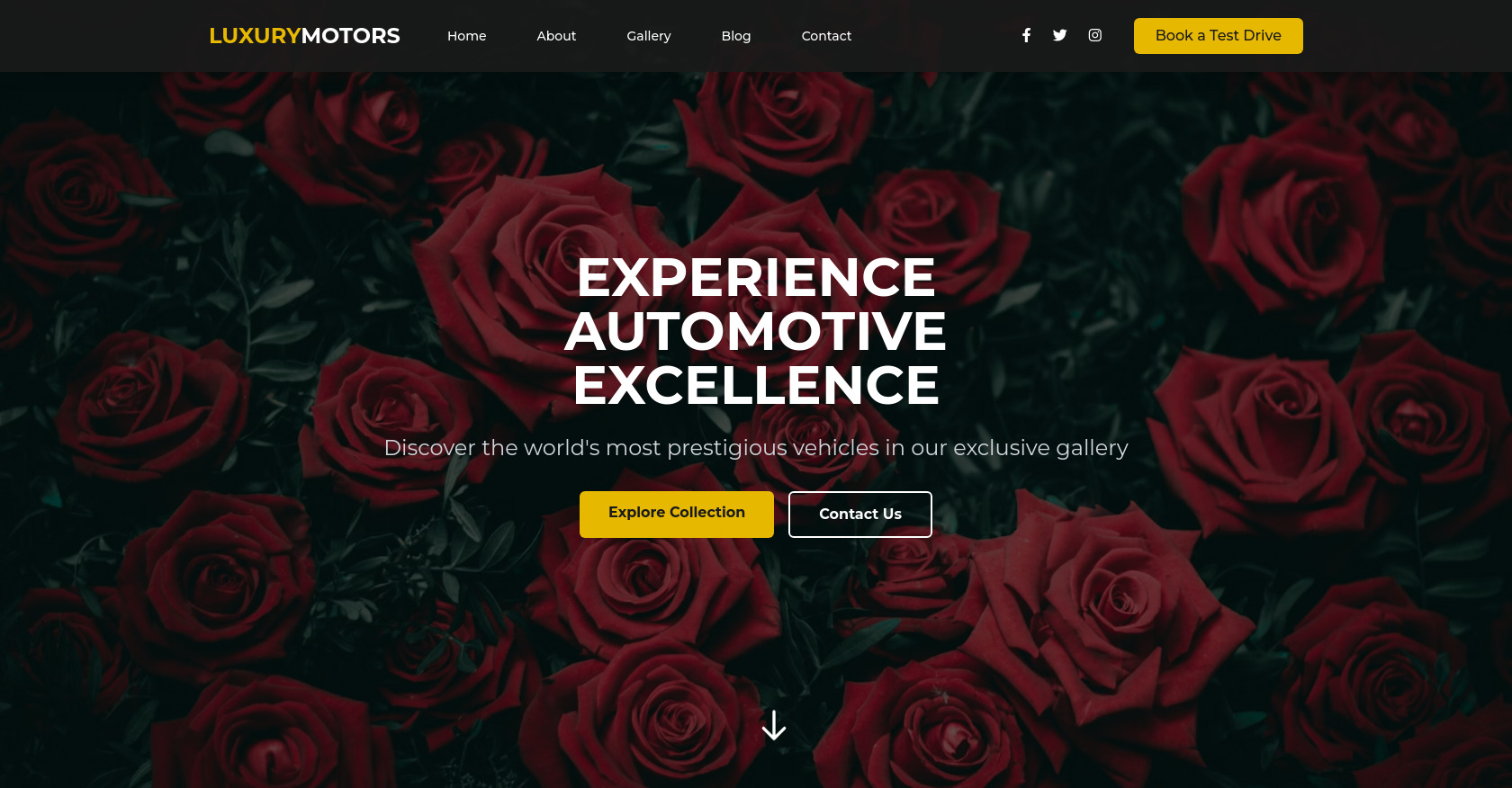 Luxury Car Gallery: Premium Motors & Vehicles