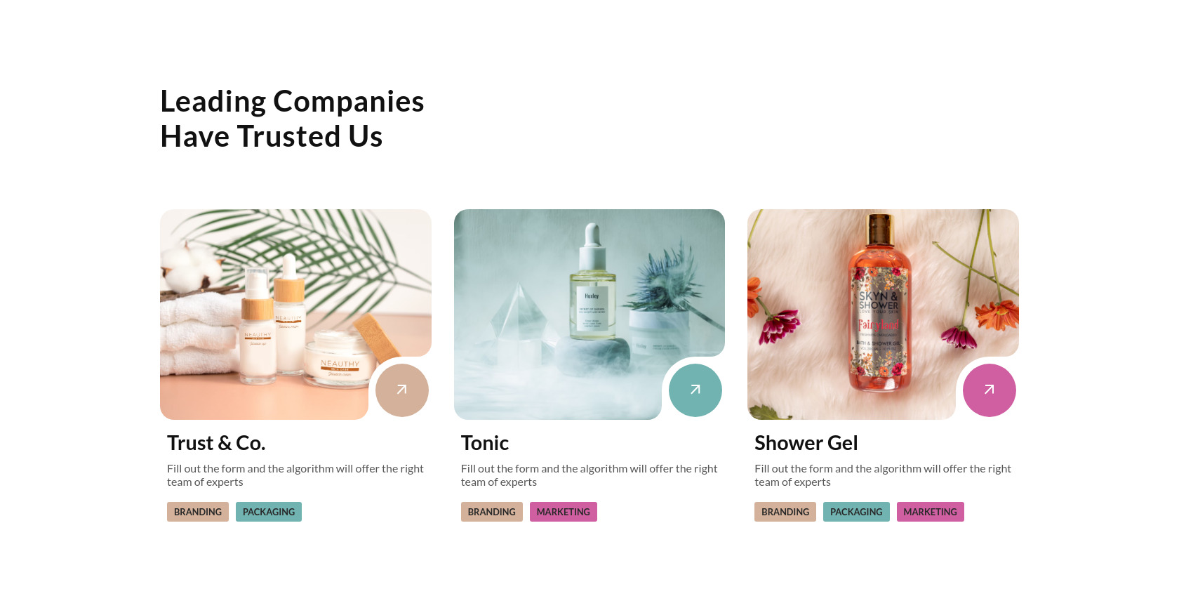 Company Card List: HTML & CSS Example
