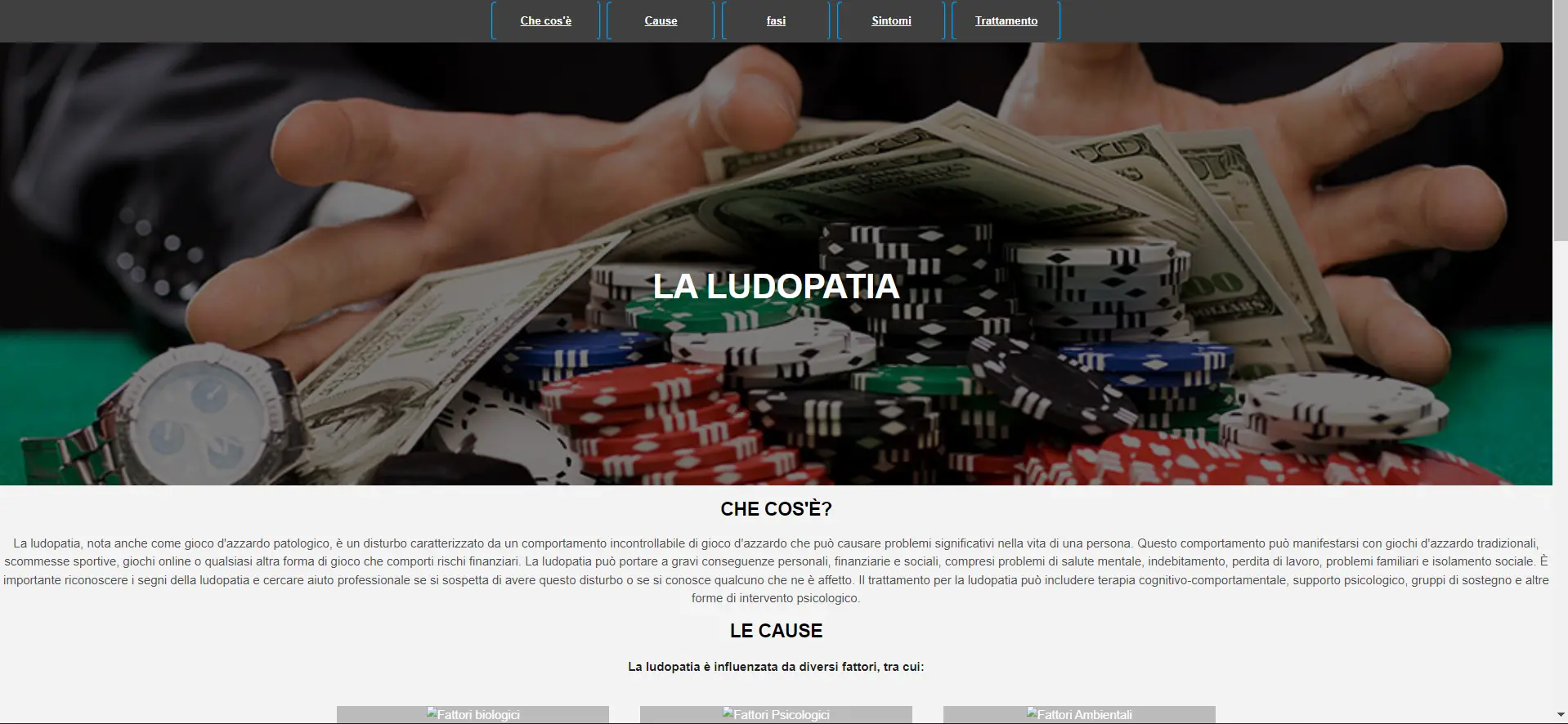 Website Template HTML & CSS